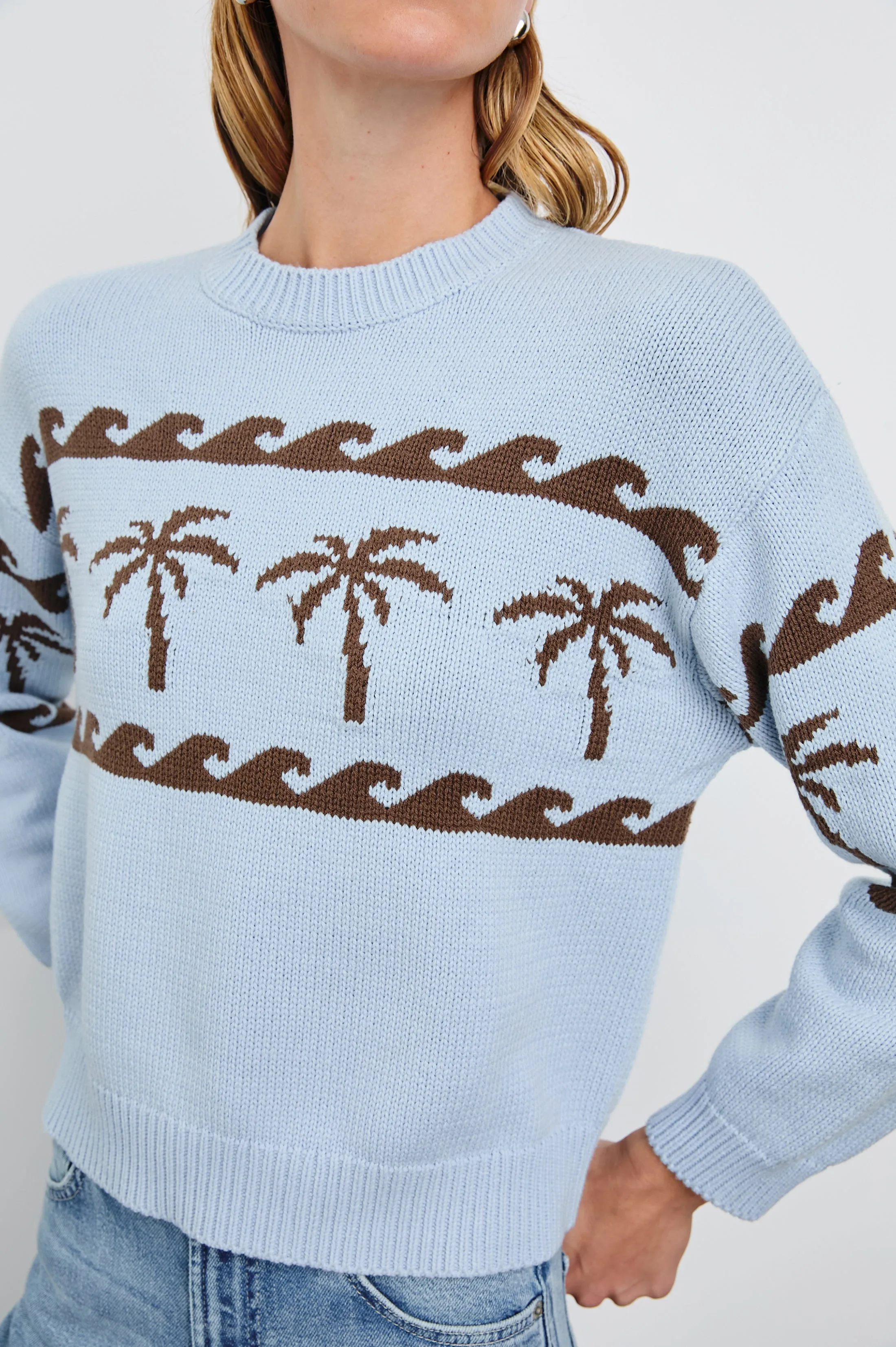 ZOEY SWEATER - PALM STRIPE